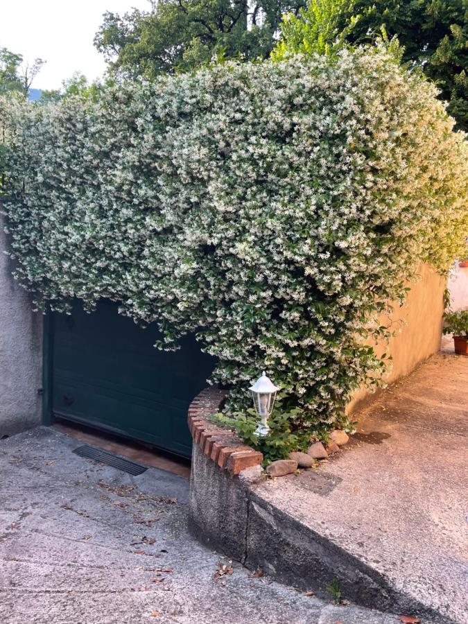 Casa Monia Διαμέρισμα Roe Εξωτερικό φωτογραφία